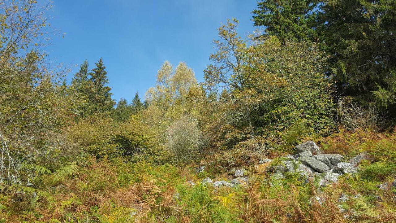 Gite De Sauviat 25 Chemin Du Grand Pacher Le Bourg De Sauviat 63120 Esterno foto
