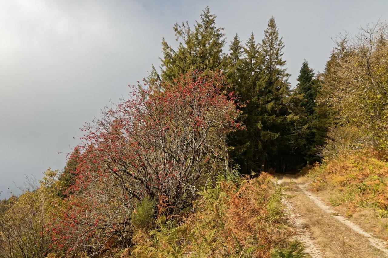 Gite De Sauviat 25 Chemin Du Grand Pacher Le Bourg De Sauviat 63120 Esterno foto
