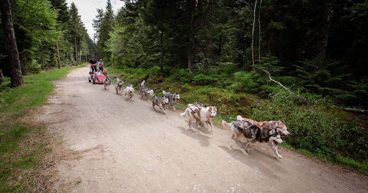 Gite De Sauviat 25 Chemin Du Grand Pacher Le Bourg De Sauviat 63120 Esterno foto